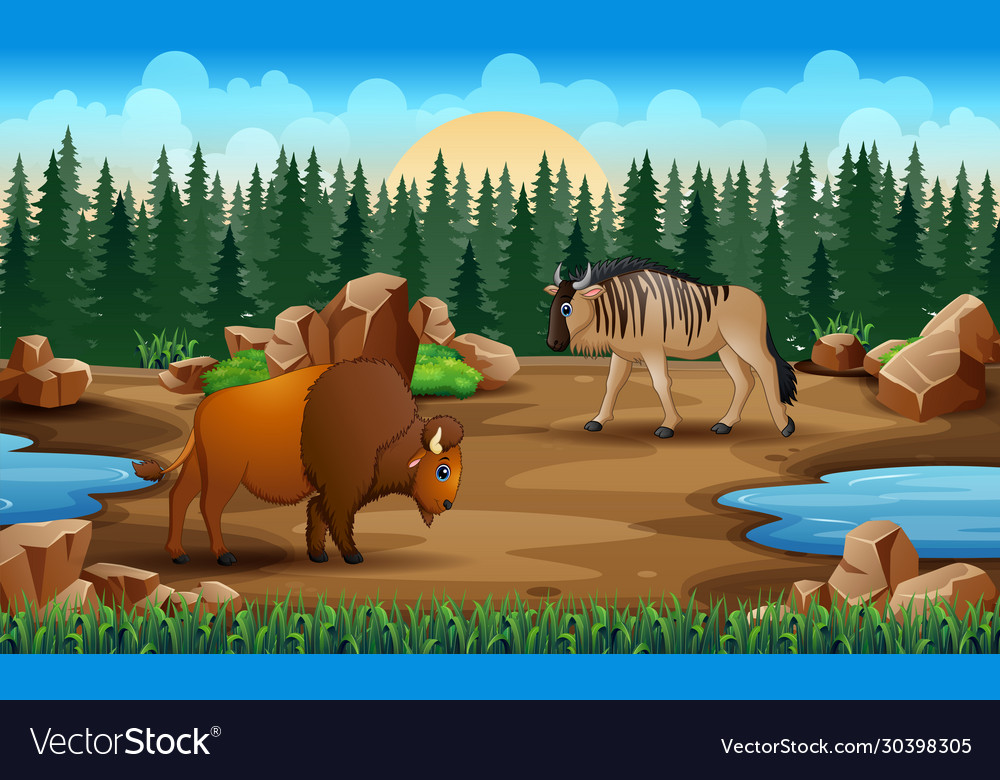 Cartoon animals in dry land Royalty Free Vector Image