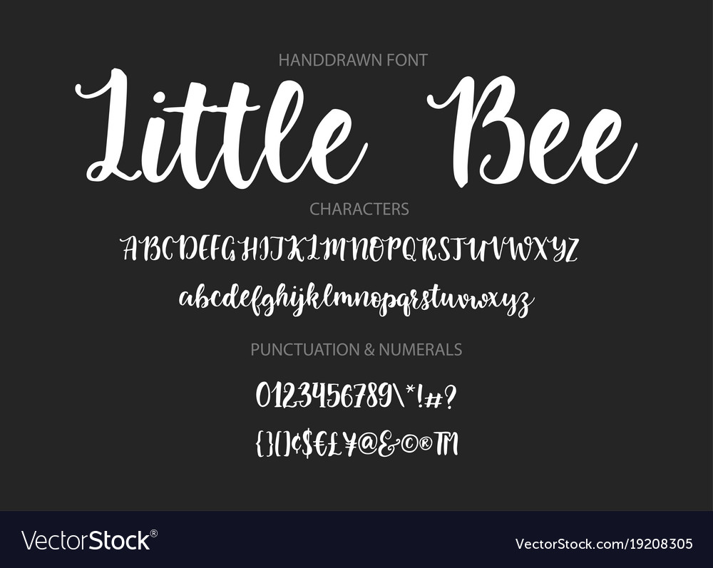 Modern calligraphic font brush painted letters