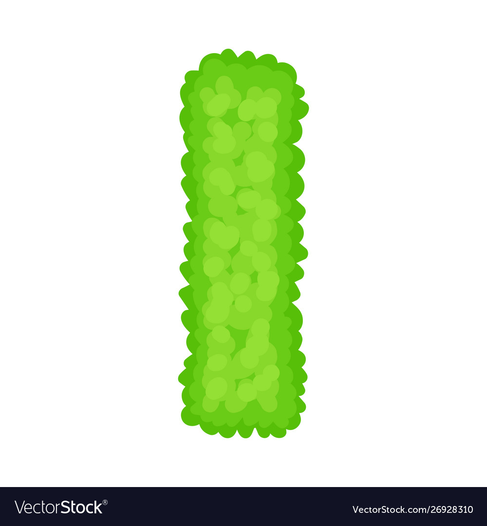 Vertical image a row bushes view from above Vector Image Vertical image a row bushes view from above