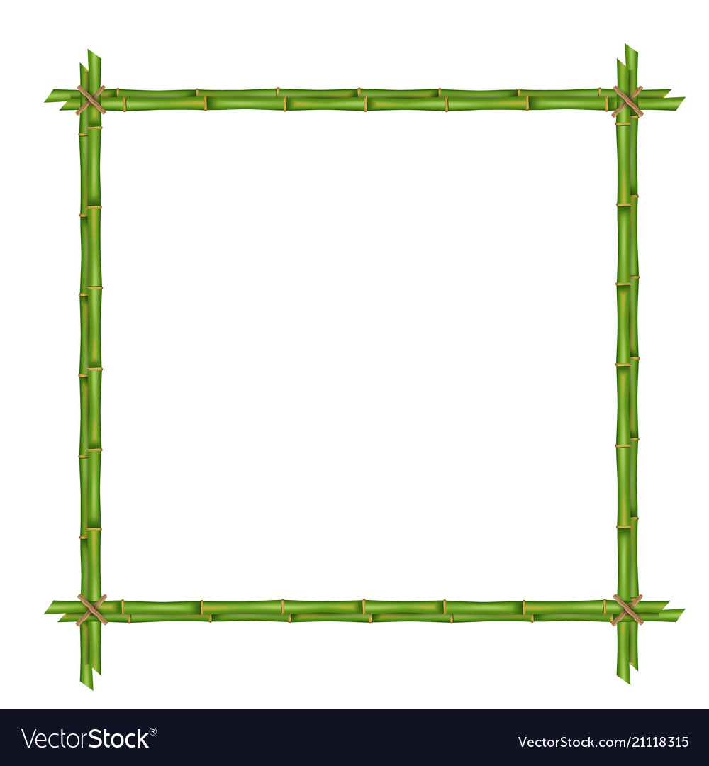 Creative of bamboo stems frame Royalty Free Vector Image