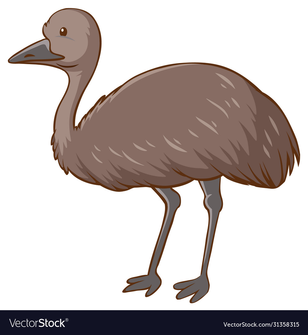 Emu cartoon character on white background Vector Image Emu cartoon character on white background Vector Image