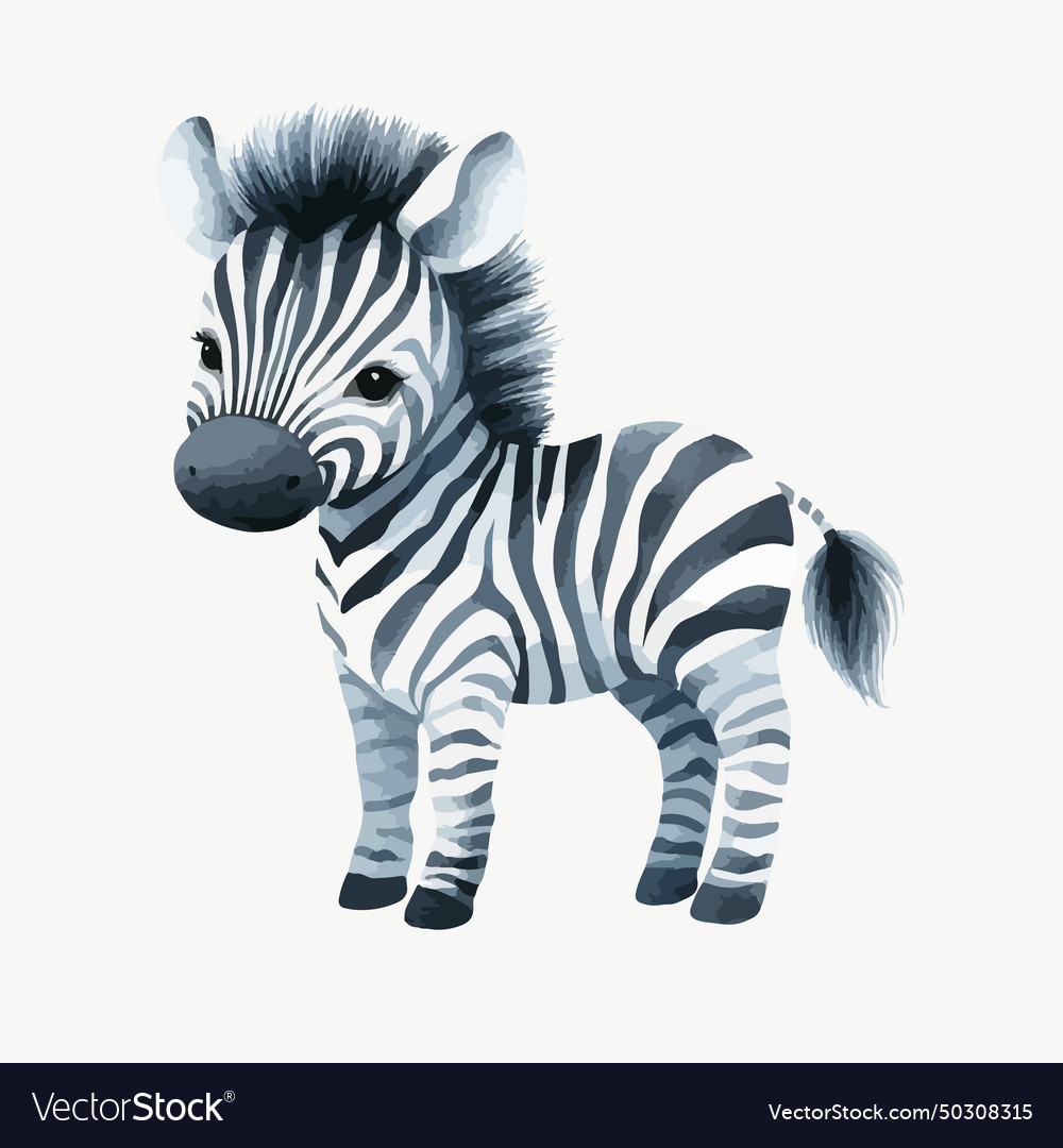 Wasserfarbe Baby Zebra