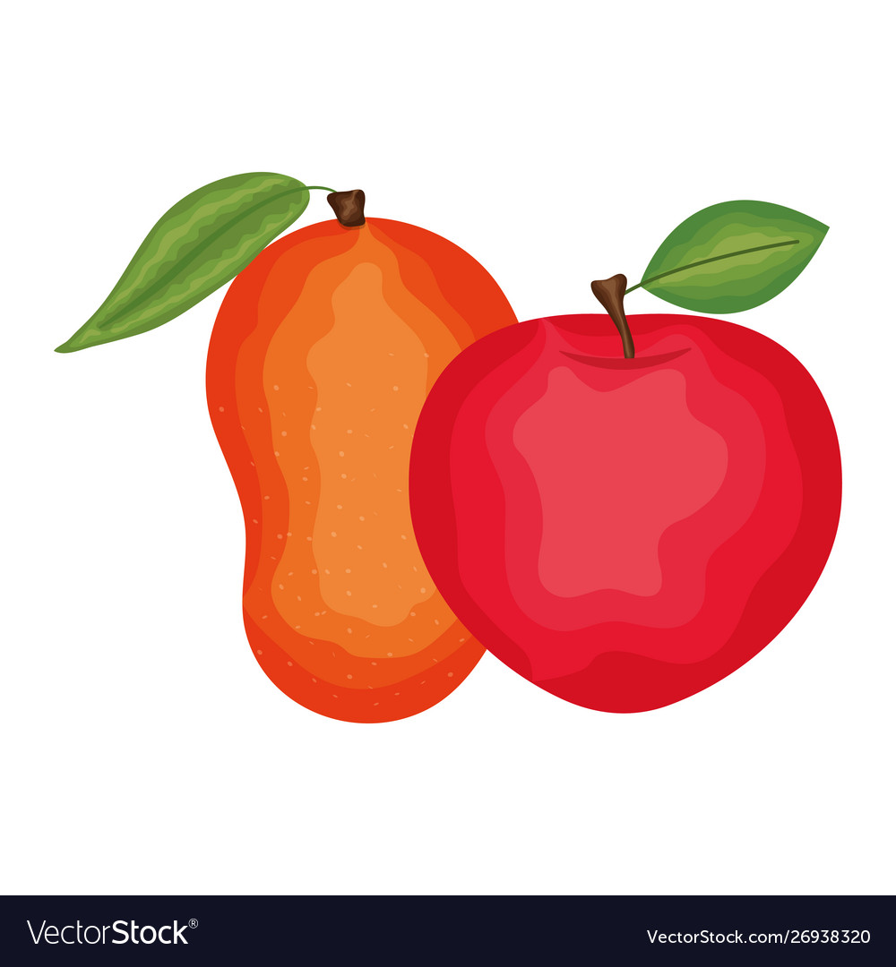 Fresh mango and apple fruits Royalty Free Vector Image