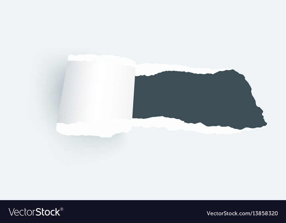 Paper tear isolated element Royalty Free Vector Image