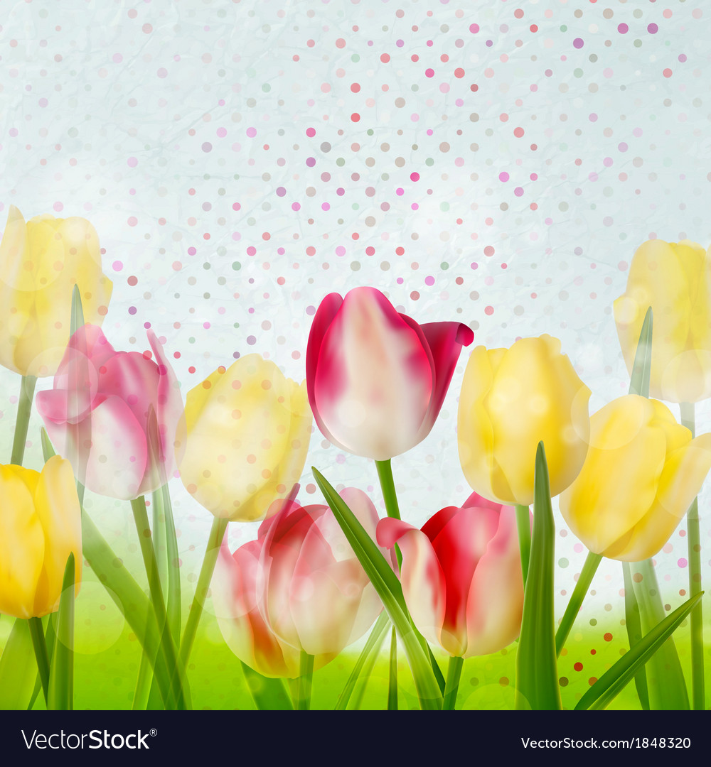 Tulip on polka dot background eps 10 Royalty Free Vector