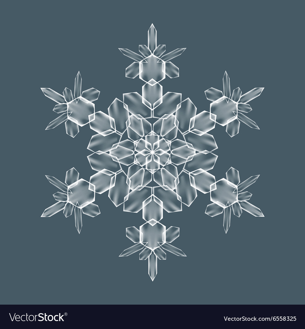 Decorative snow flake