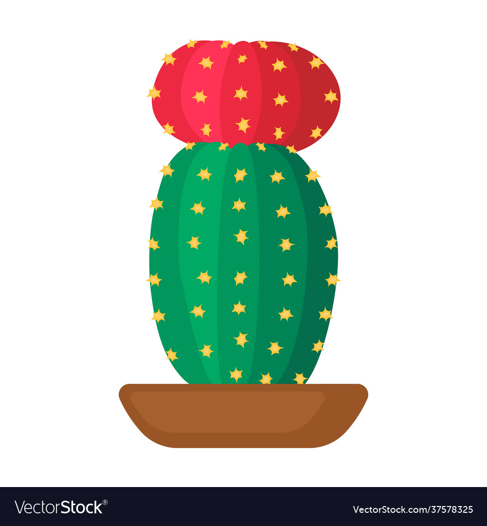 Houseplant cacti cartoon icon