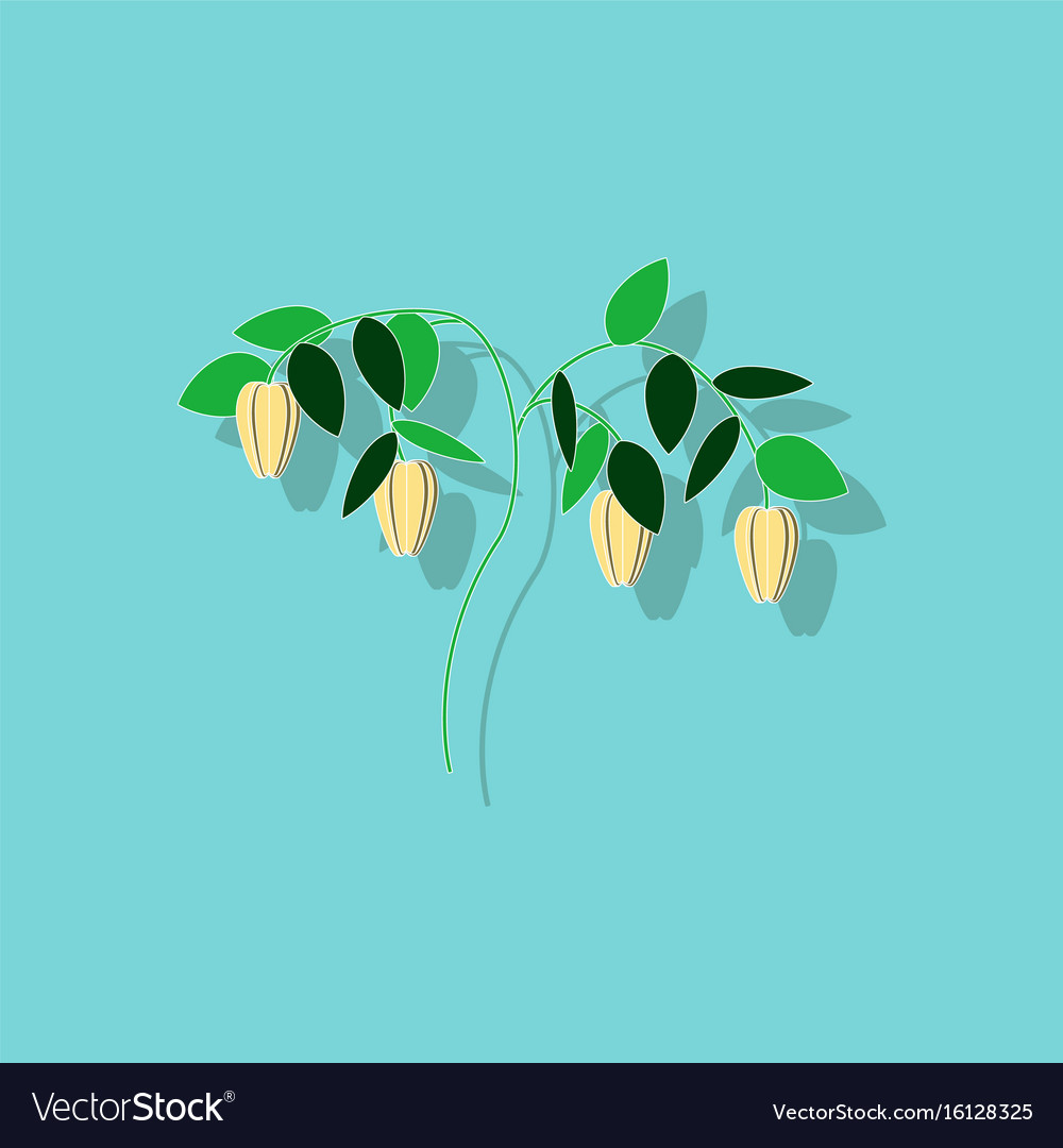 Paper sticker on background of plant capsicum