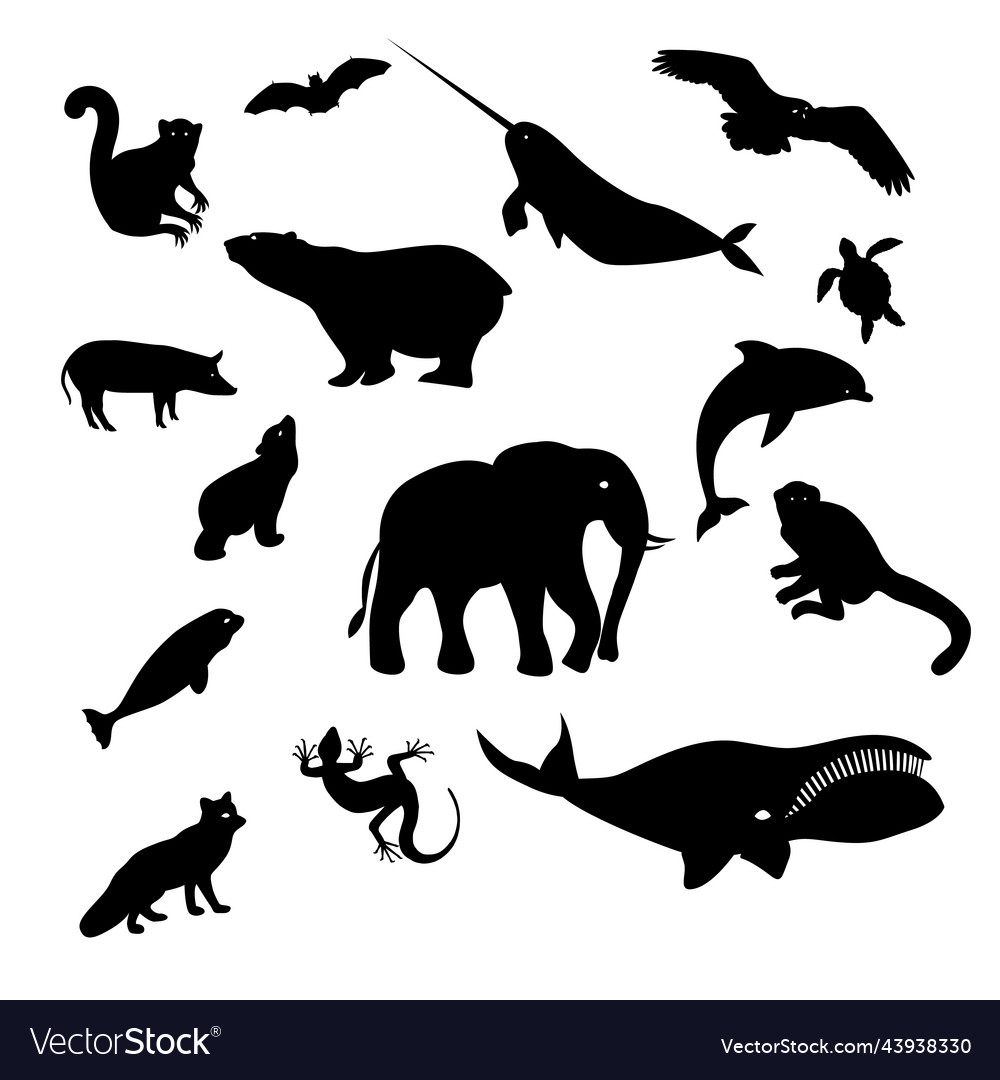 Black Silhouettes of Animals and Birds