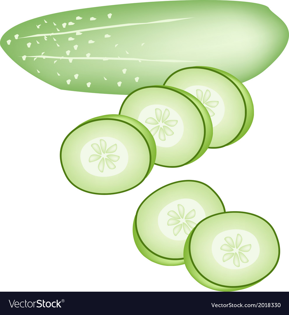 Cucumber and slices on white background