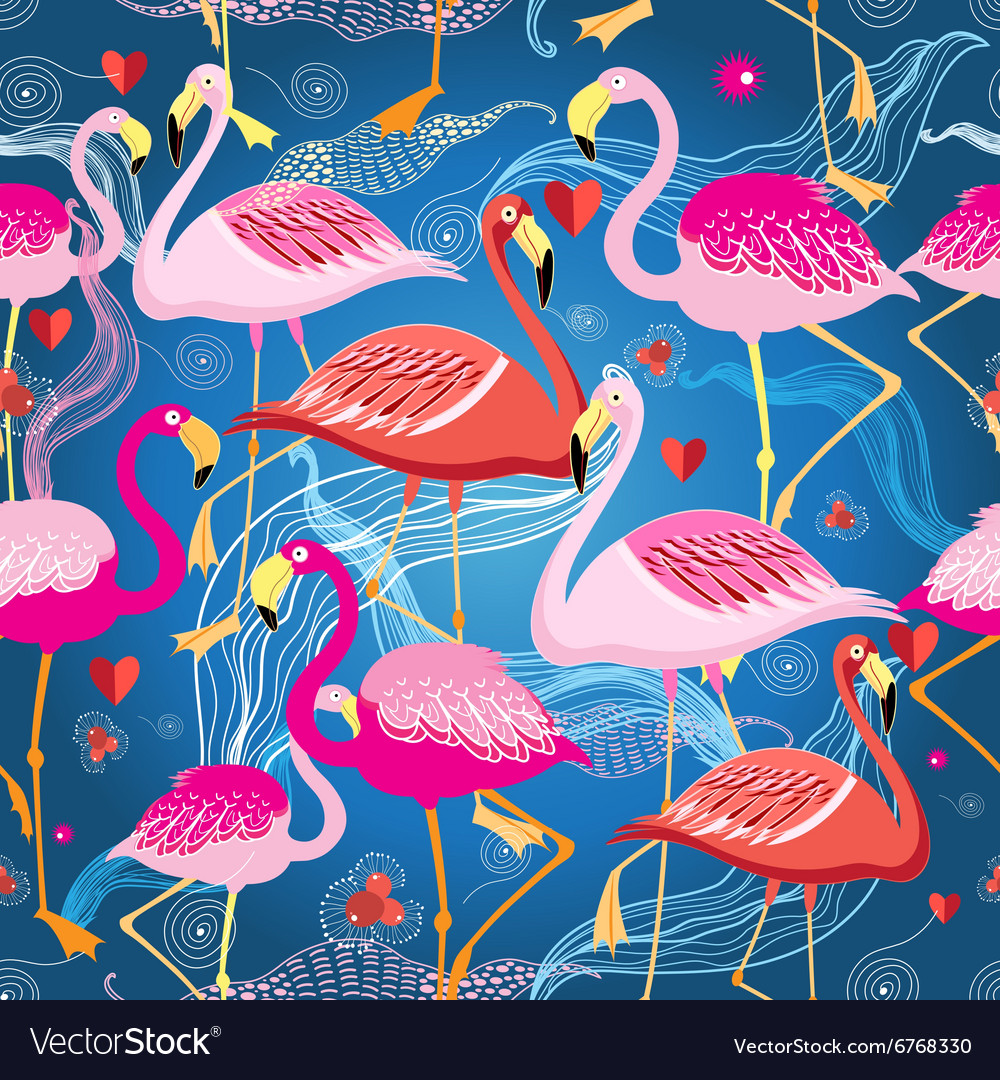 Different pattern of flamingos
