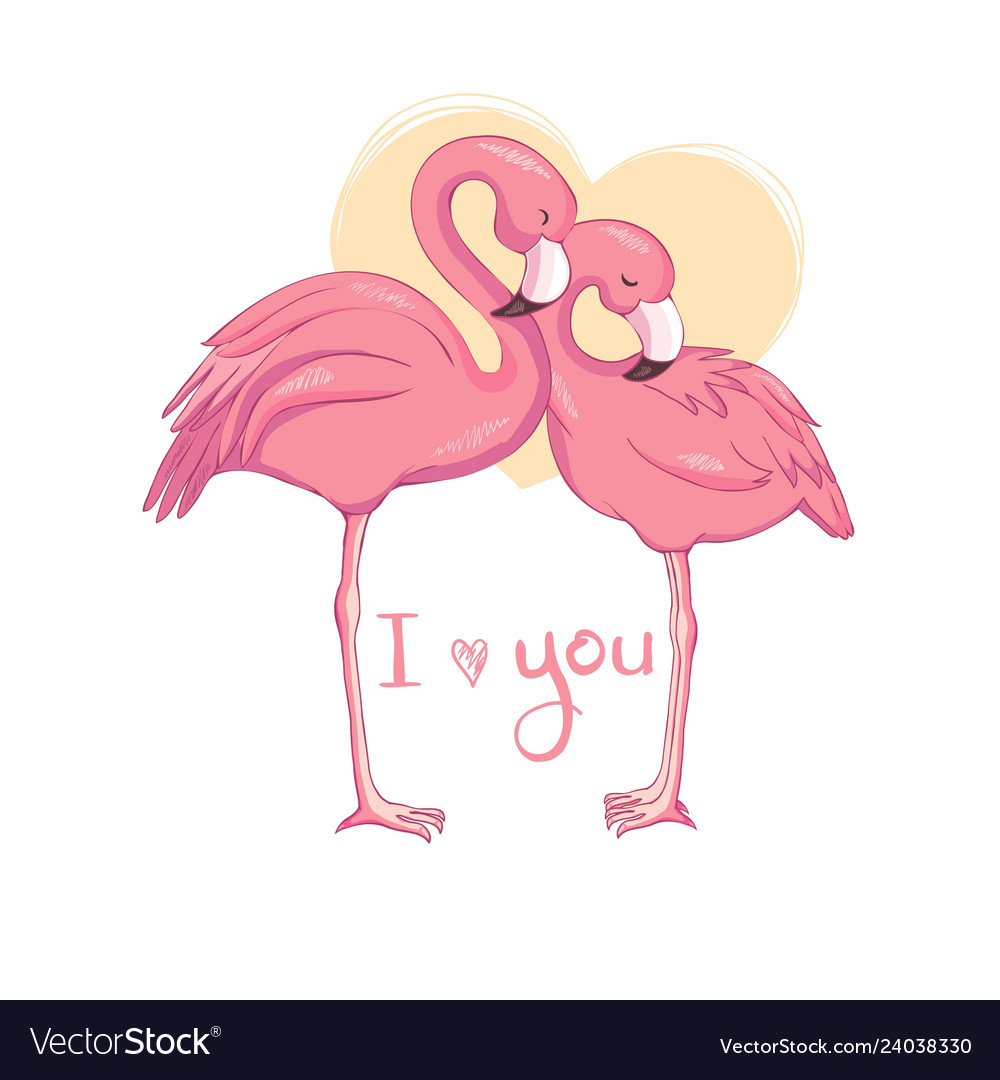 Flamingo bird design on background