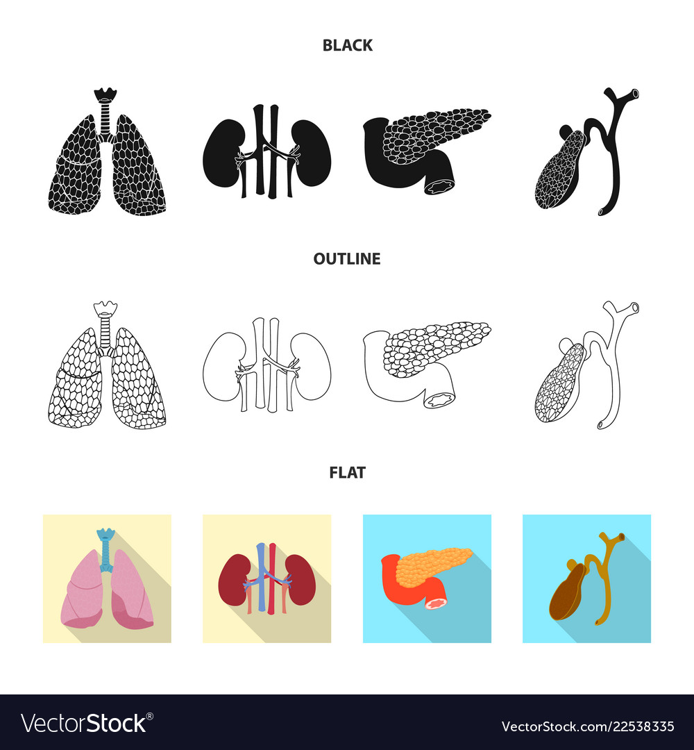 Body and human sign Royalty Free Vector Image - VectorStock