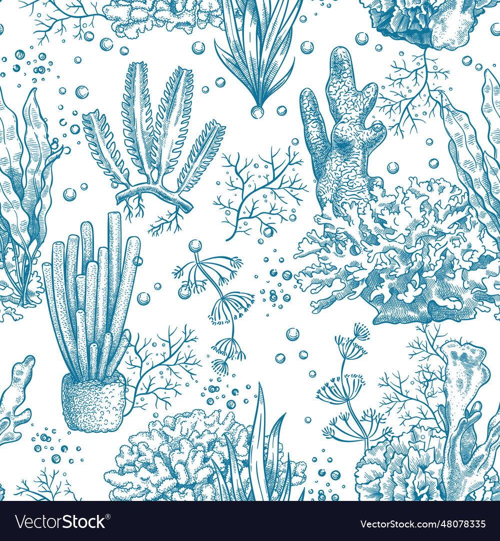 Seaweed seamless pattern reef aquatic plants