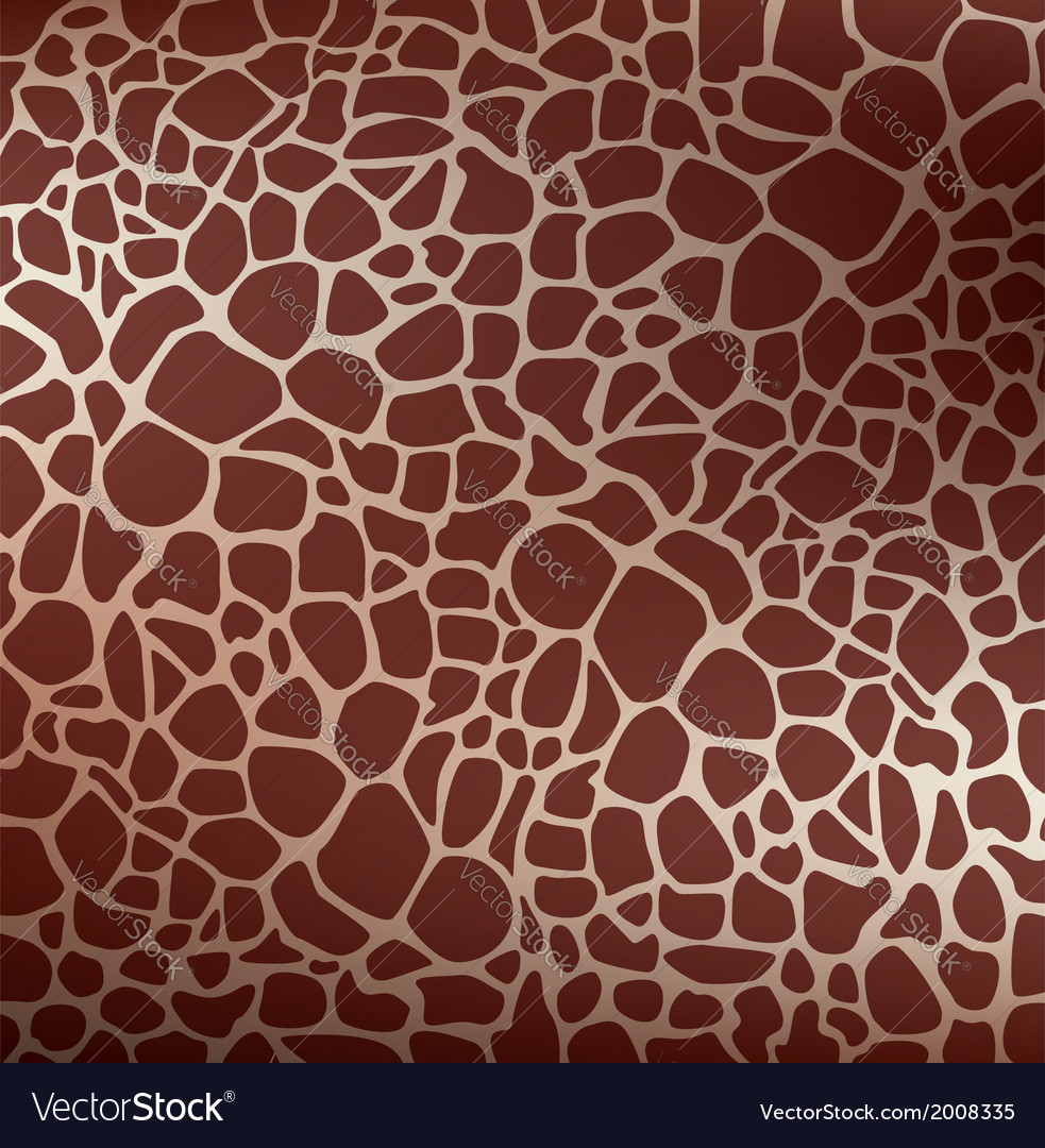 Skin pattern giraffe Royalty Free Vector Image