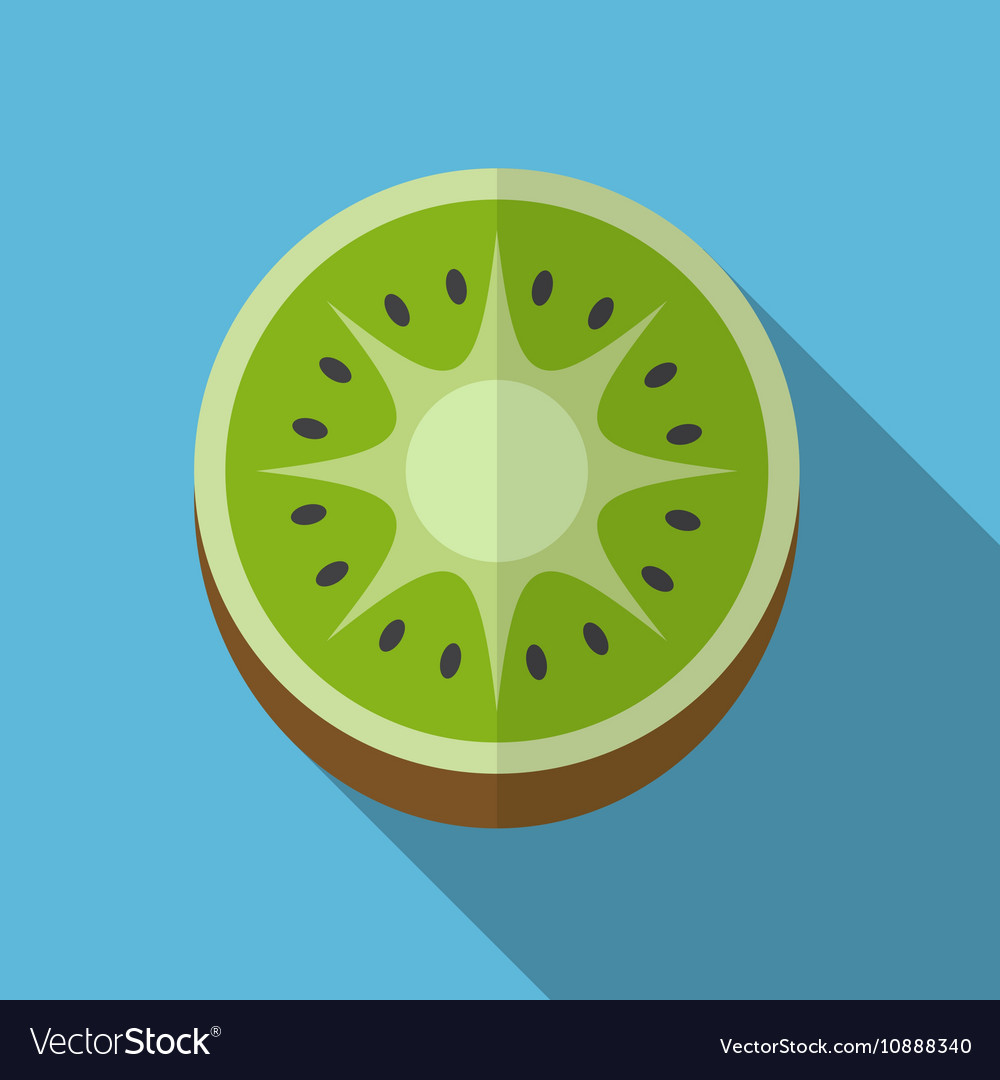 Kiwi flat icon