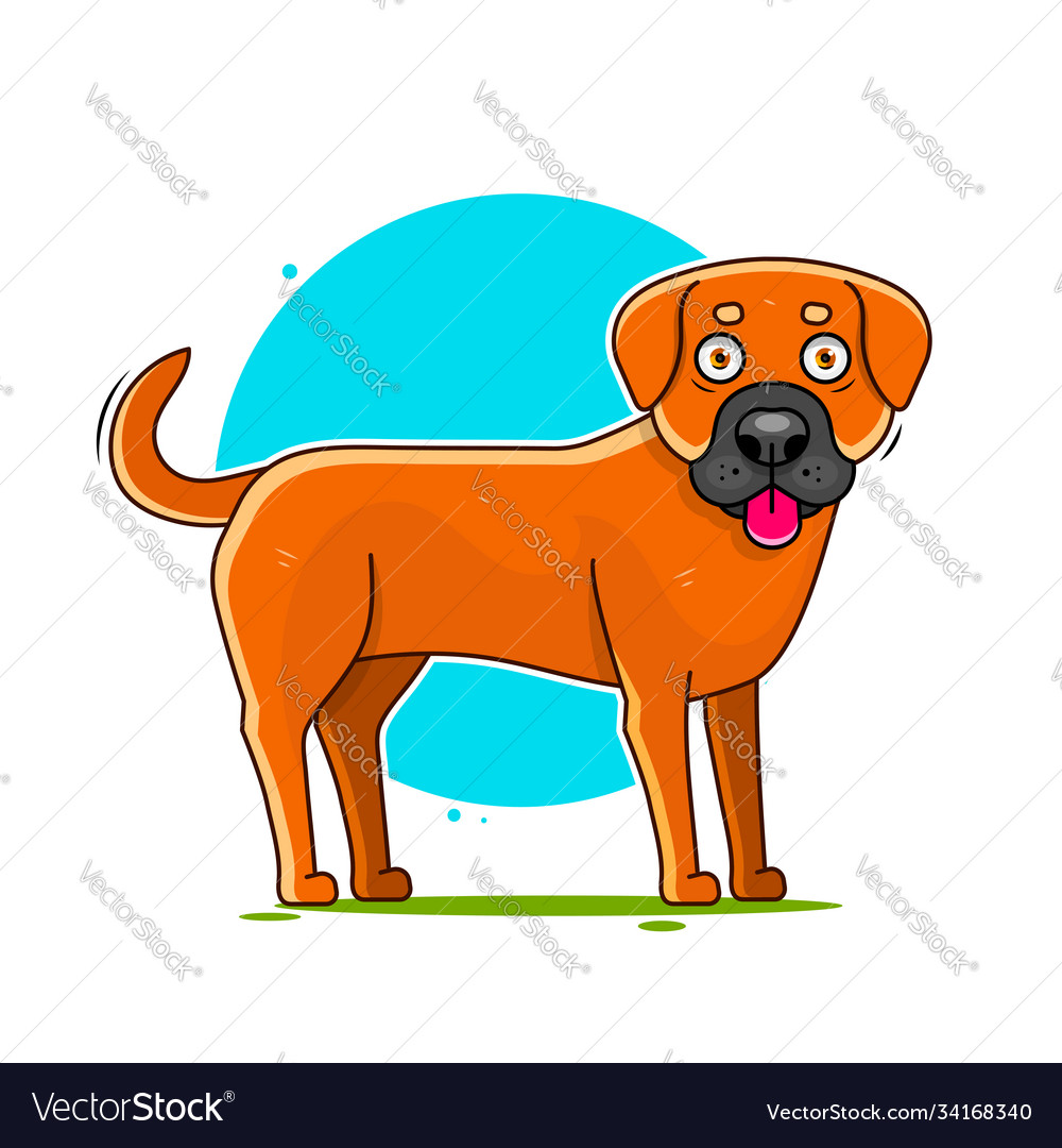 Portrait ein fröhlicher Hund auf blauem Hintergrund