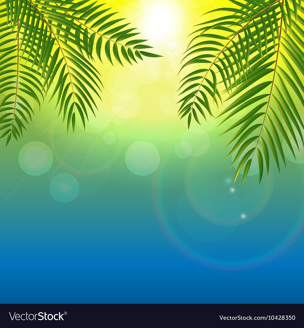 Beautiful palm tree leaf silhouette background