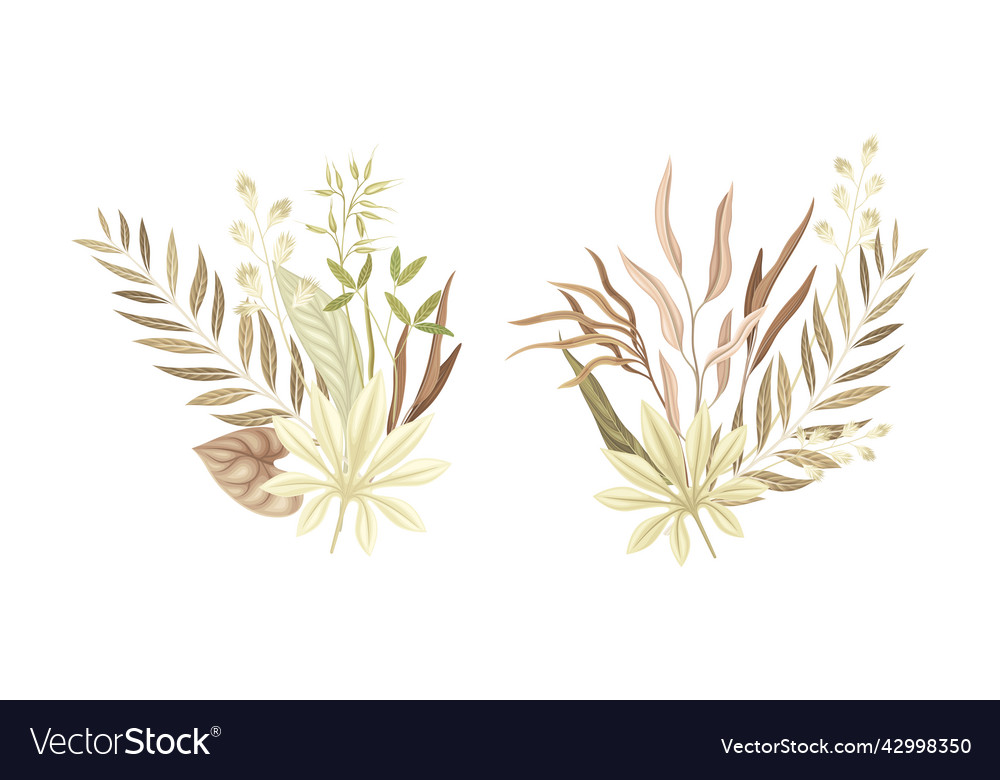 Dried bouquets of tropical leaves and plants set