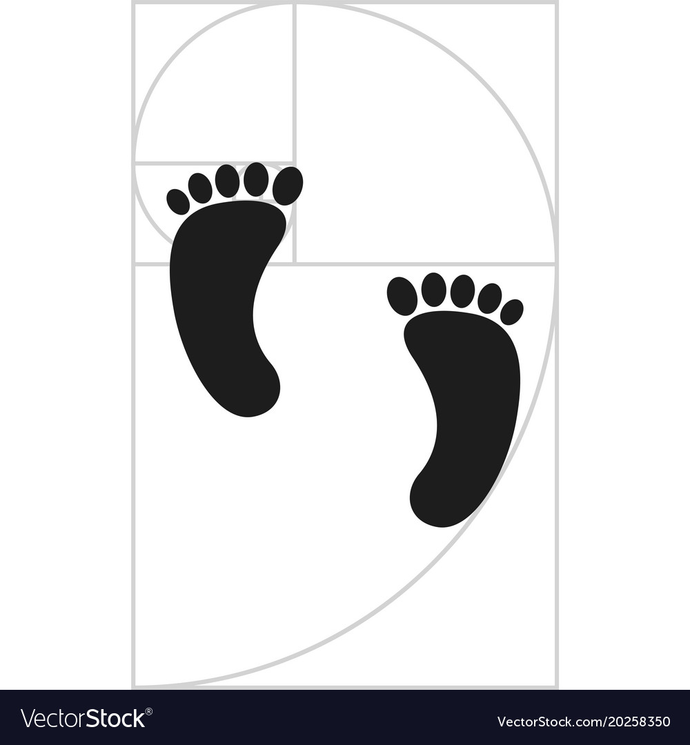 Fibonacci Footprint Spiral