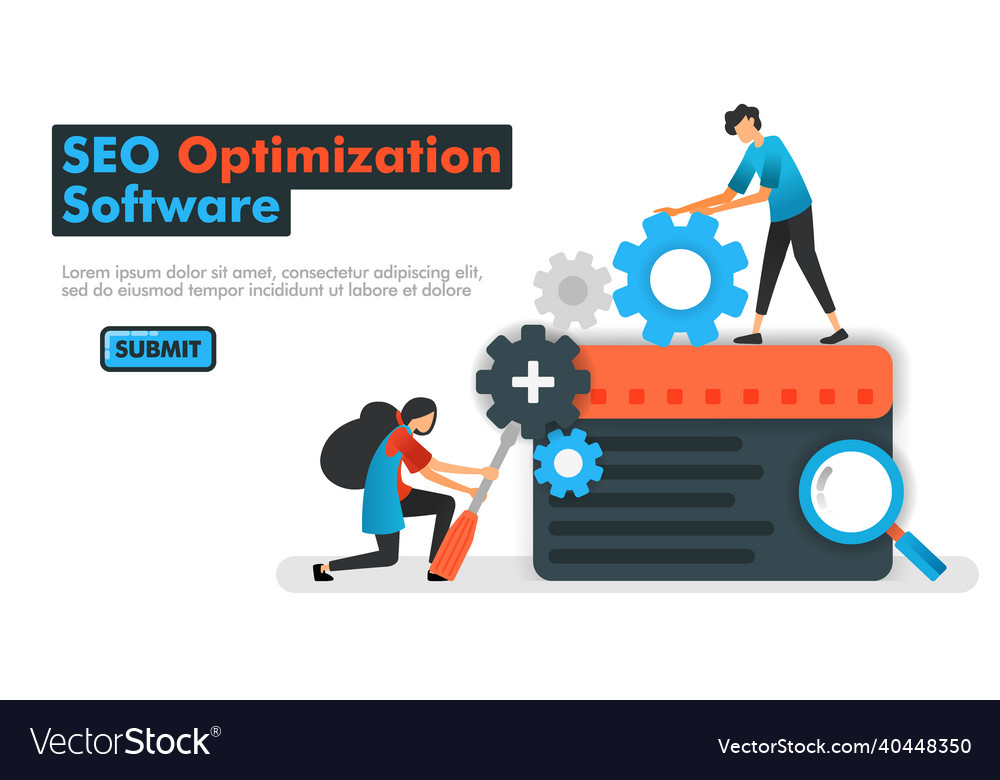 Seo optimization software programmers do