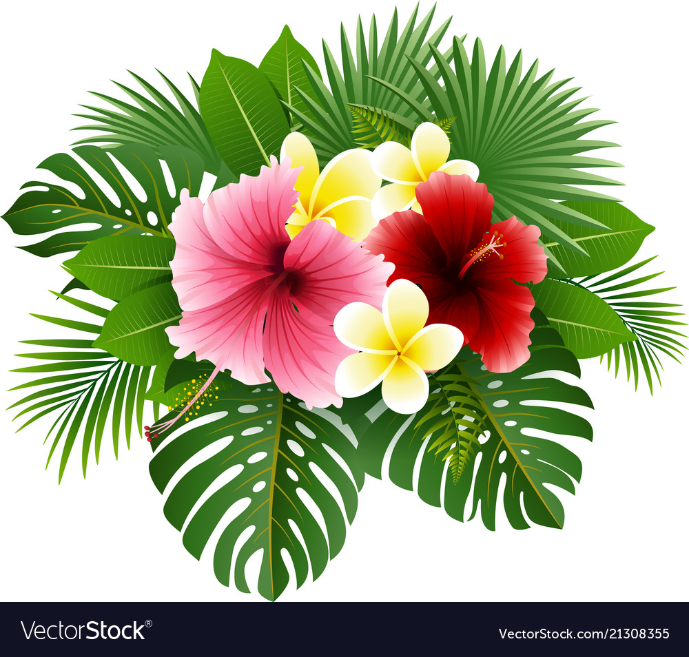 Beautiful Flowers And Leaves Royalty Free Vector Image