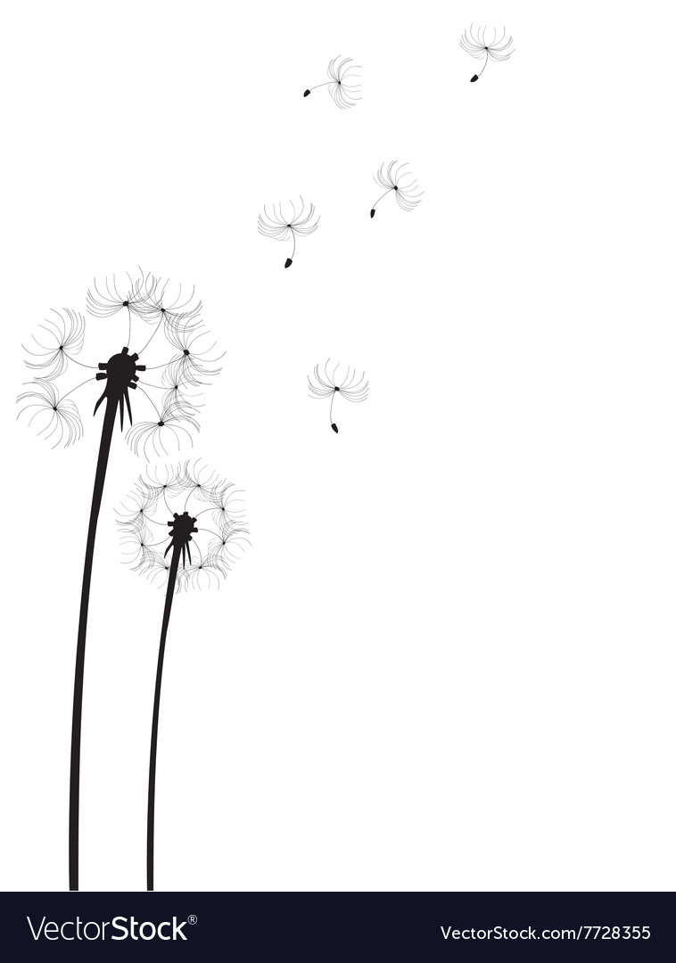 Dandelion Royalty Free Vector Image - VectorStock