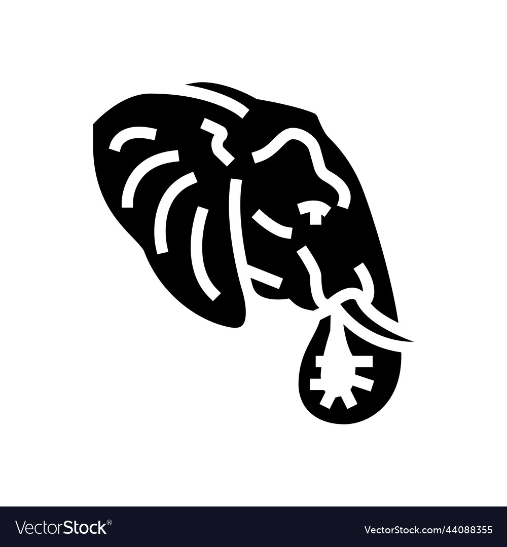 Elephant animal zoo glyph icon