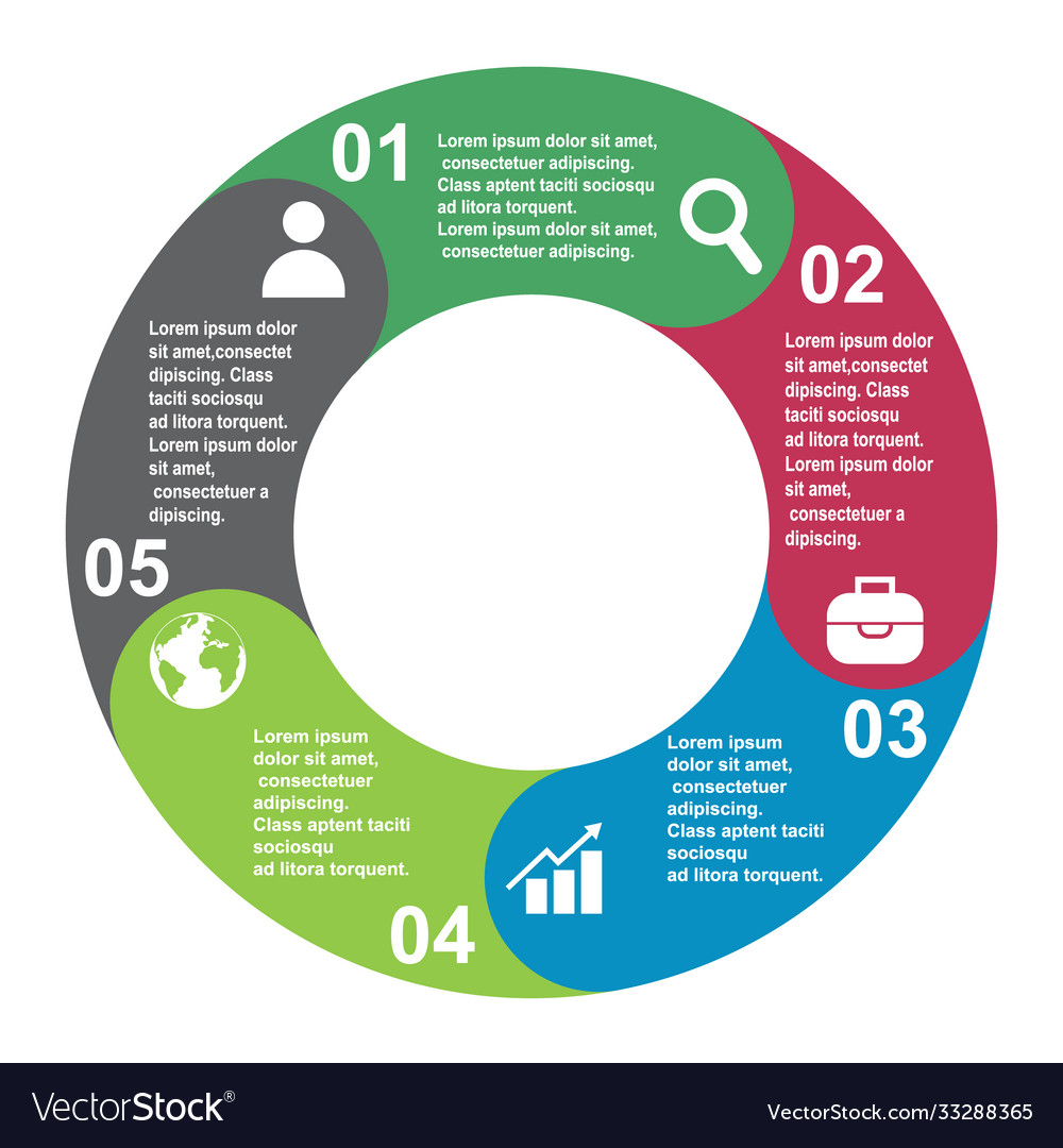5 steps element in five colors with labels vector image 5 steps element in five colors with labels