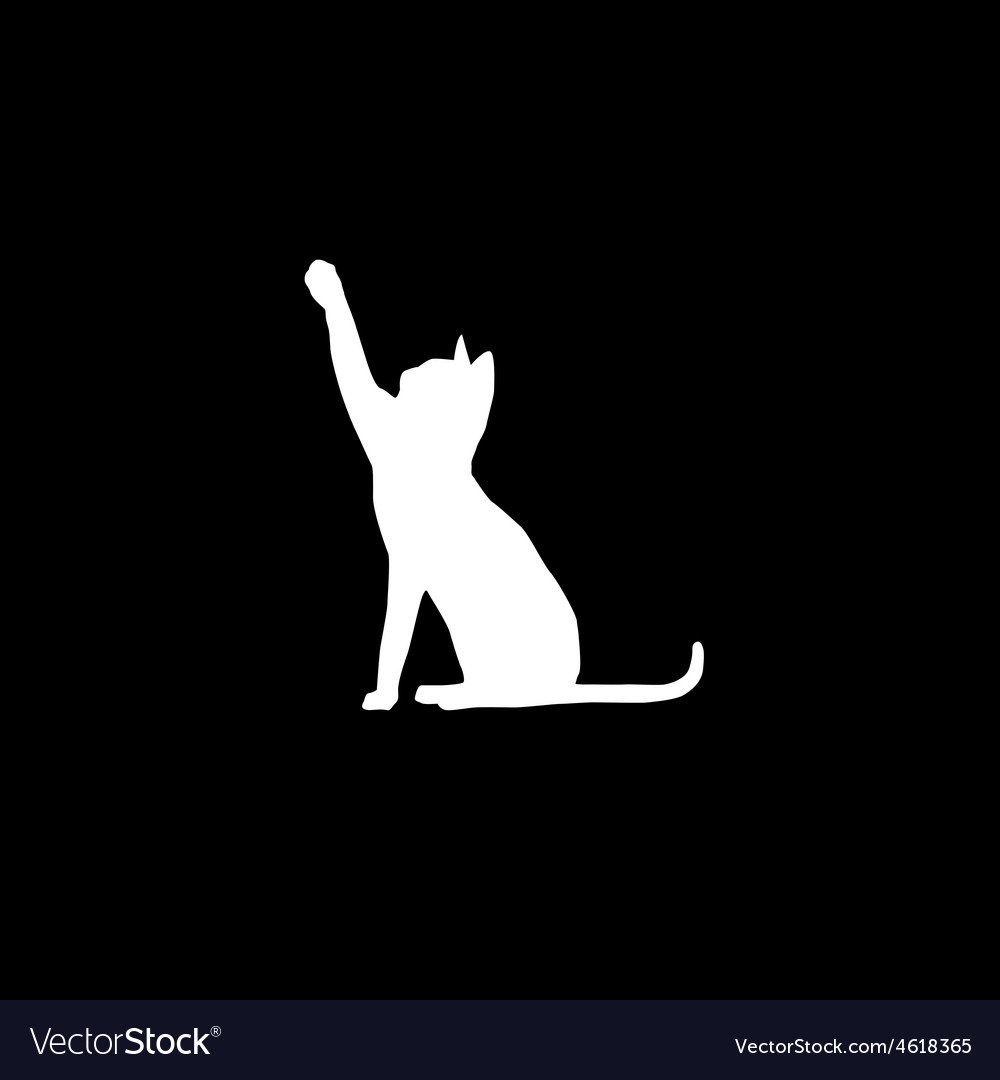 Cat silhouette