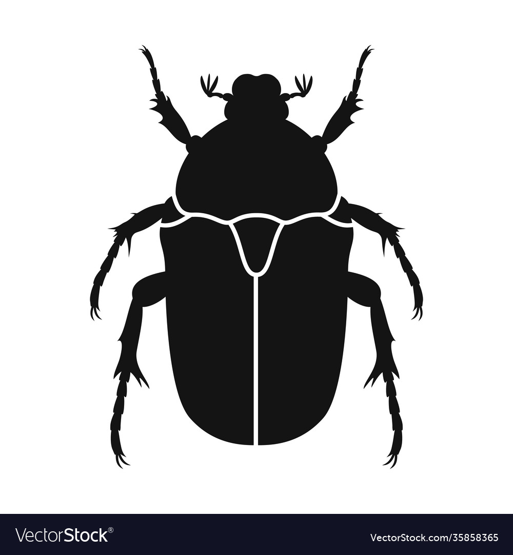 Chafer icon black silhouette Royalty Free Vector Image