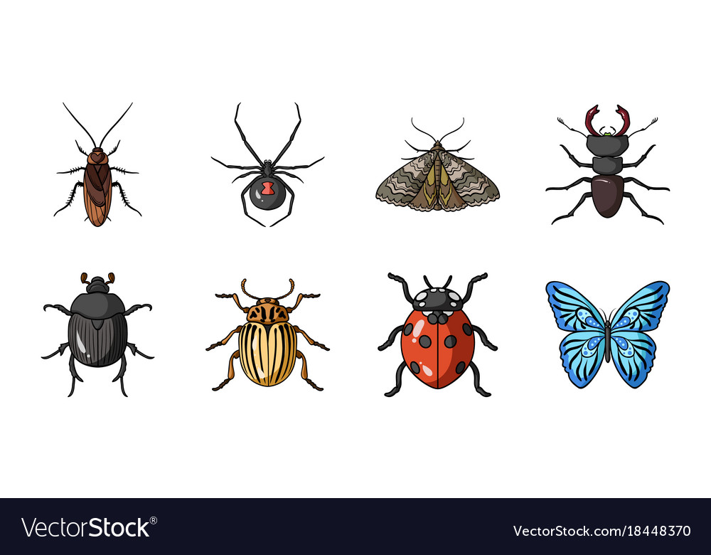 Different kinds of insects icons in set collection