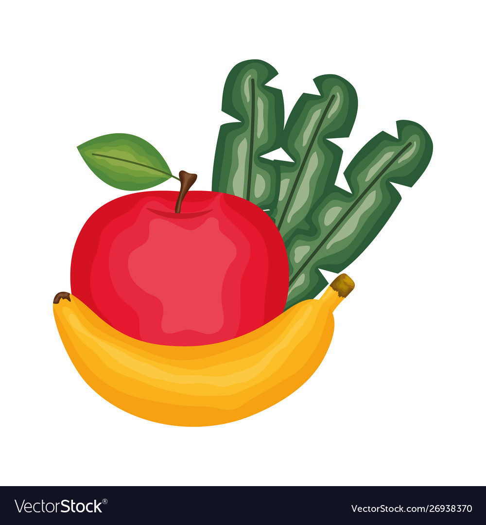 Fresh apple and banana fruits Royalty Free Vector Image