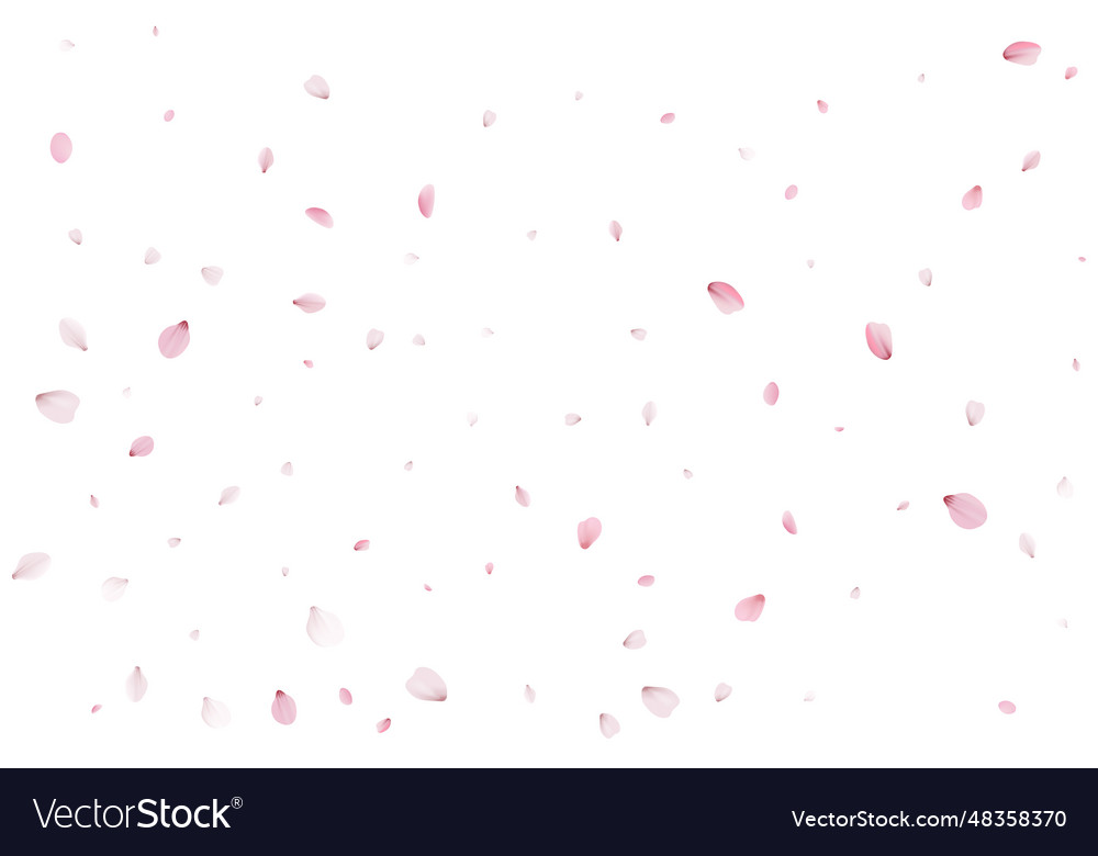 Realistic cherry petals