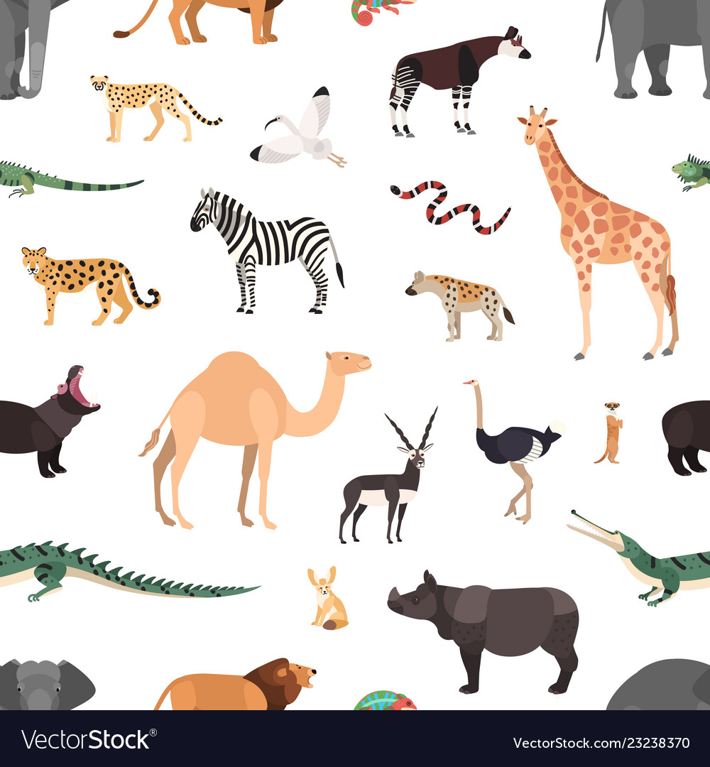 Seamless pattern with exotic animals on white Vector Image