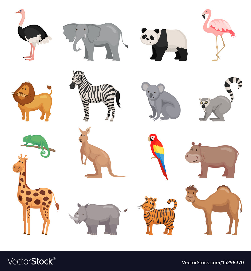 Set of animals zoo Royalty Free Vector Image - VectorStock