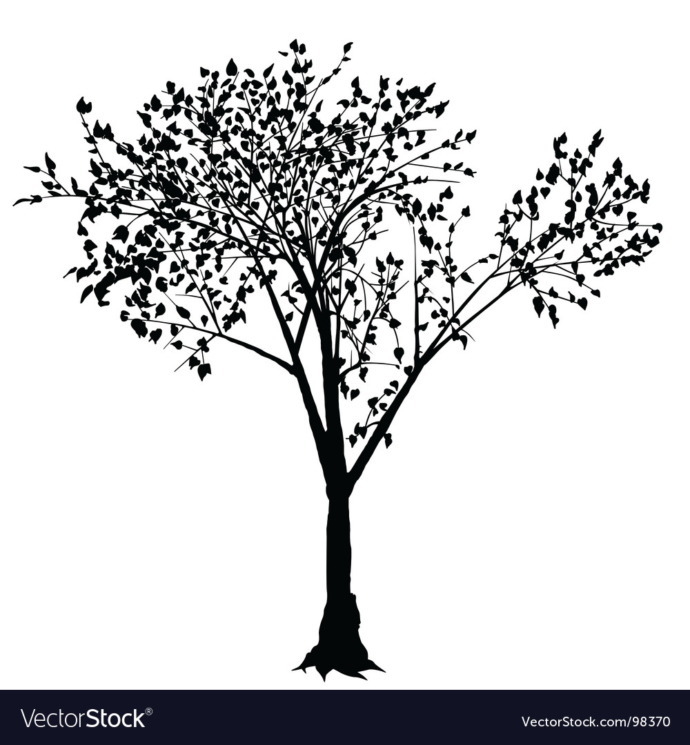 tree silhouette vector