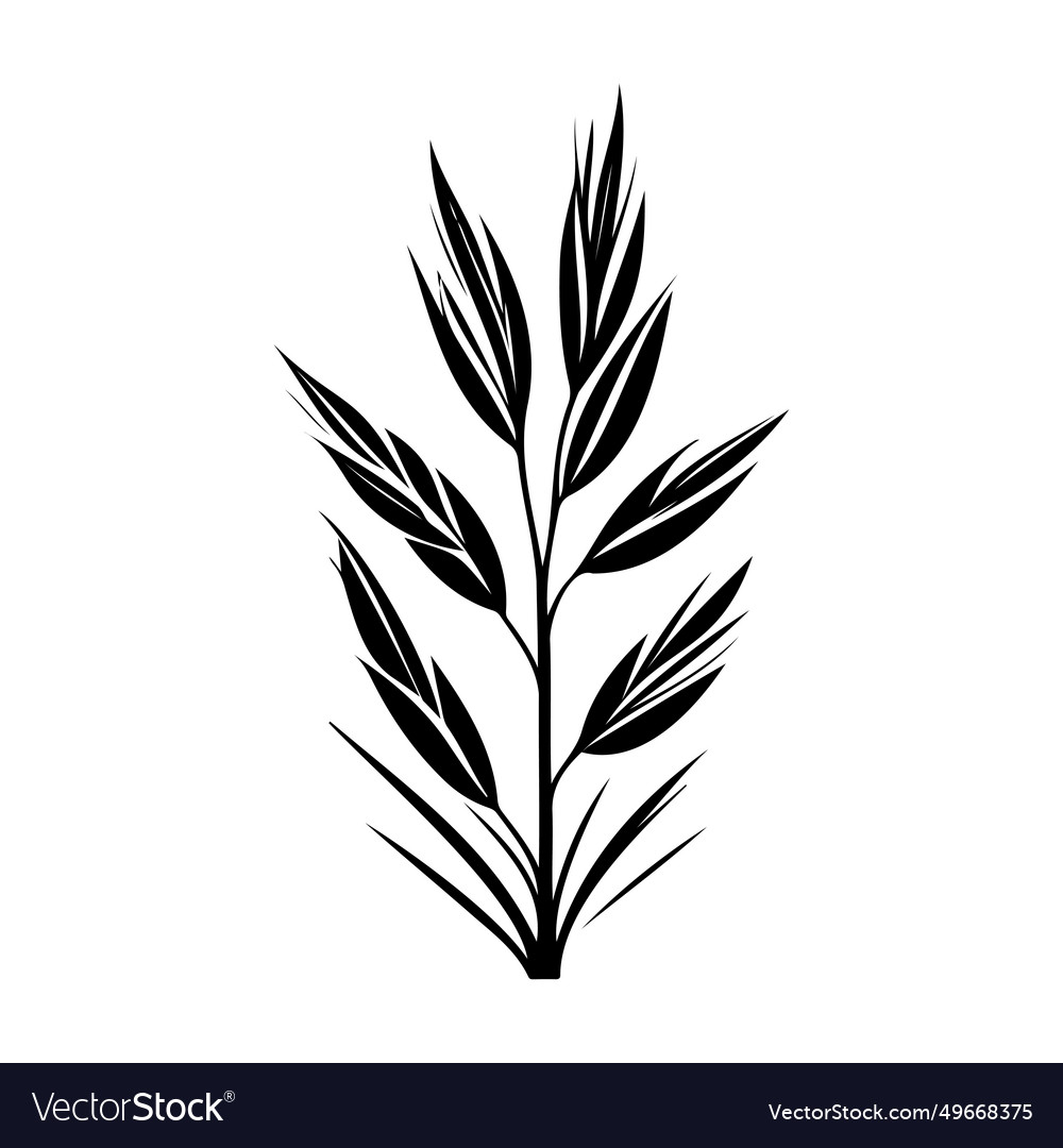 Arrowgrass icon hand draw black colour plant leaf Vector Image