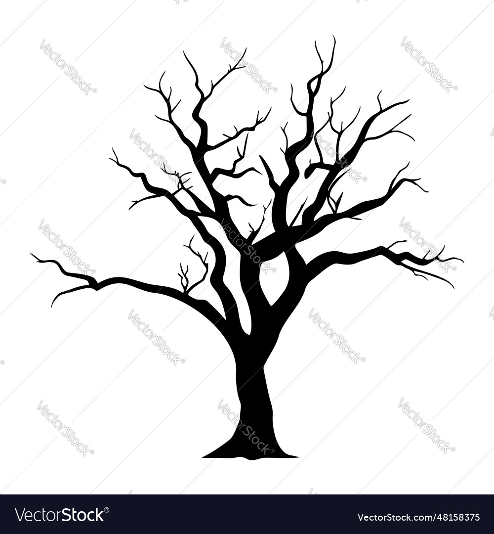 Bare tree silhouette without leaves Royalty Free Vector