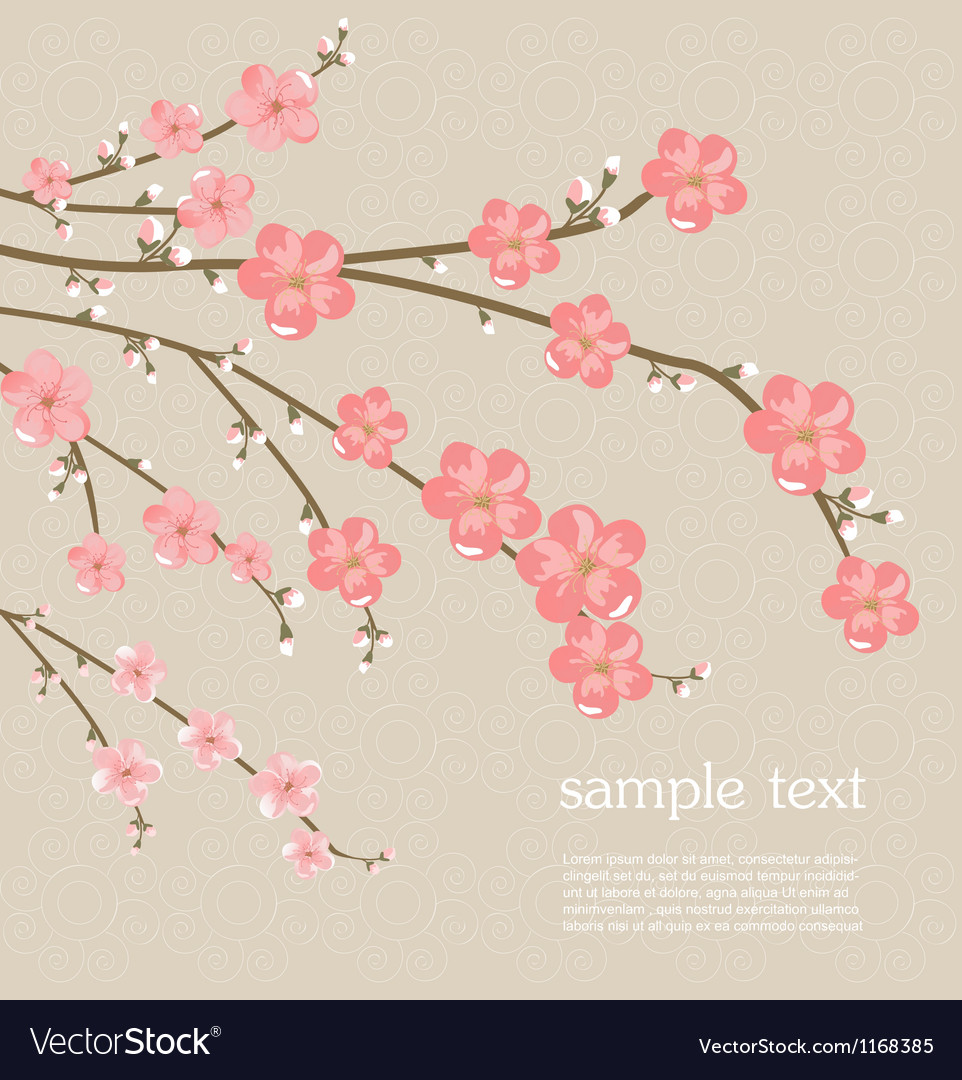 Cherry blossom card Royalty Free Vector Image - VectorStock