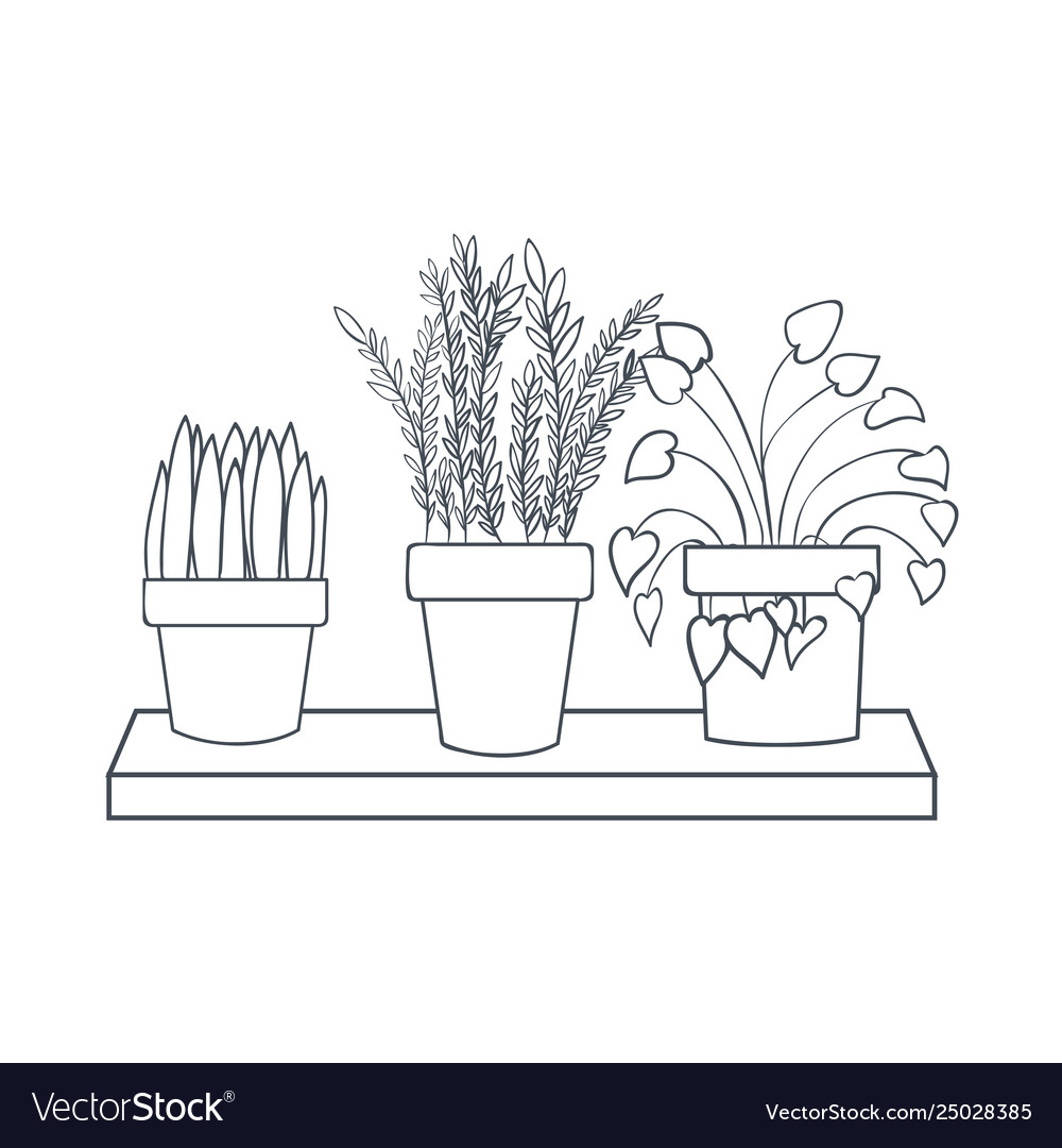 Houseplants with potted on shelf isolated icon Vector Image