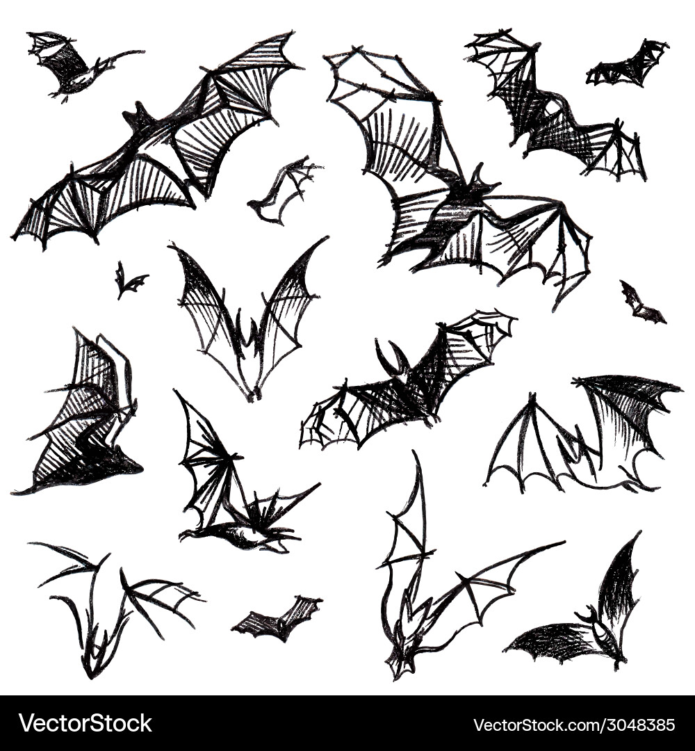 Set isolated bats Royalty Free Vector Image - VectorStock