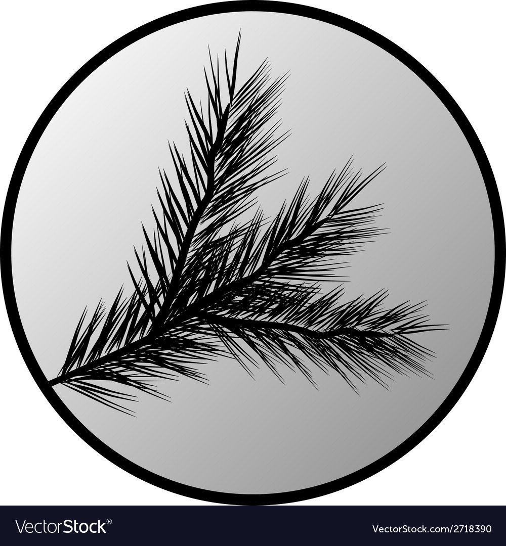 Fir tree branch button