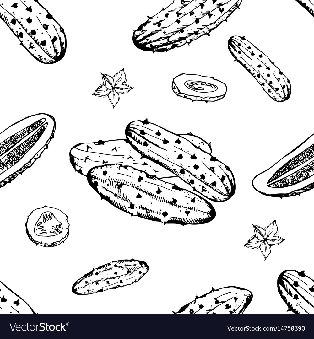 Seamless pattern with cucumber slice flower