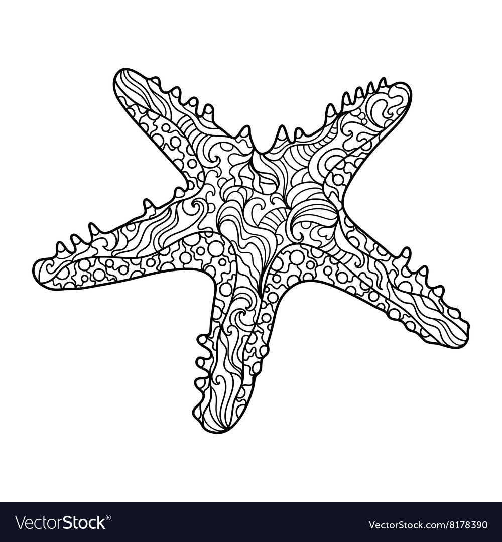 Starfish coloring book for adults Royalty Free Vector Image