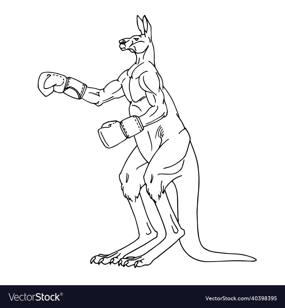 A sporty male kangaroo in boxing gloves