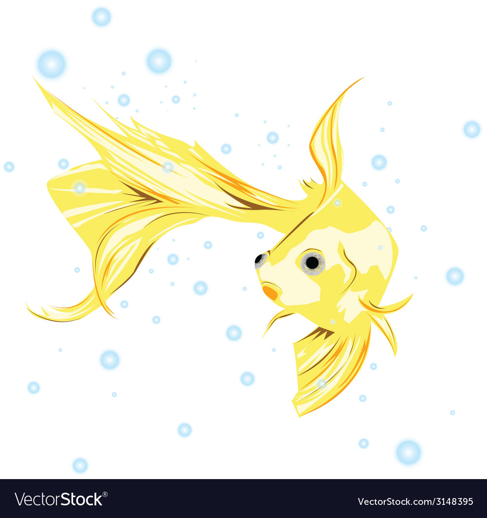 Goldfish with no background