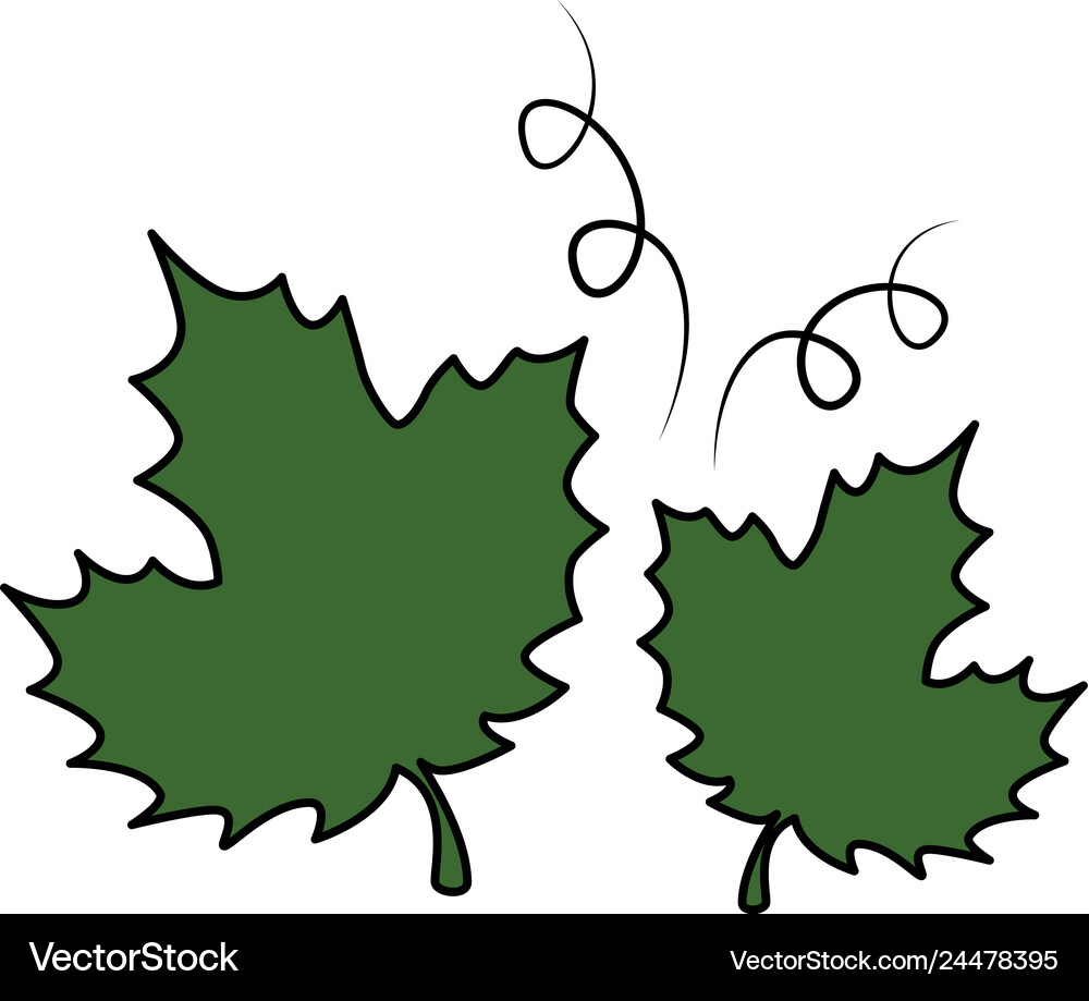 Grape leafs isolated icon Royalty Free Vector Image