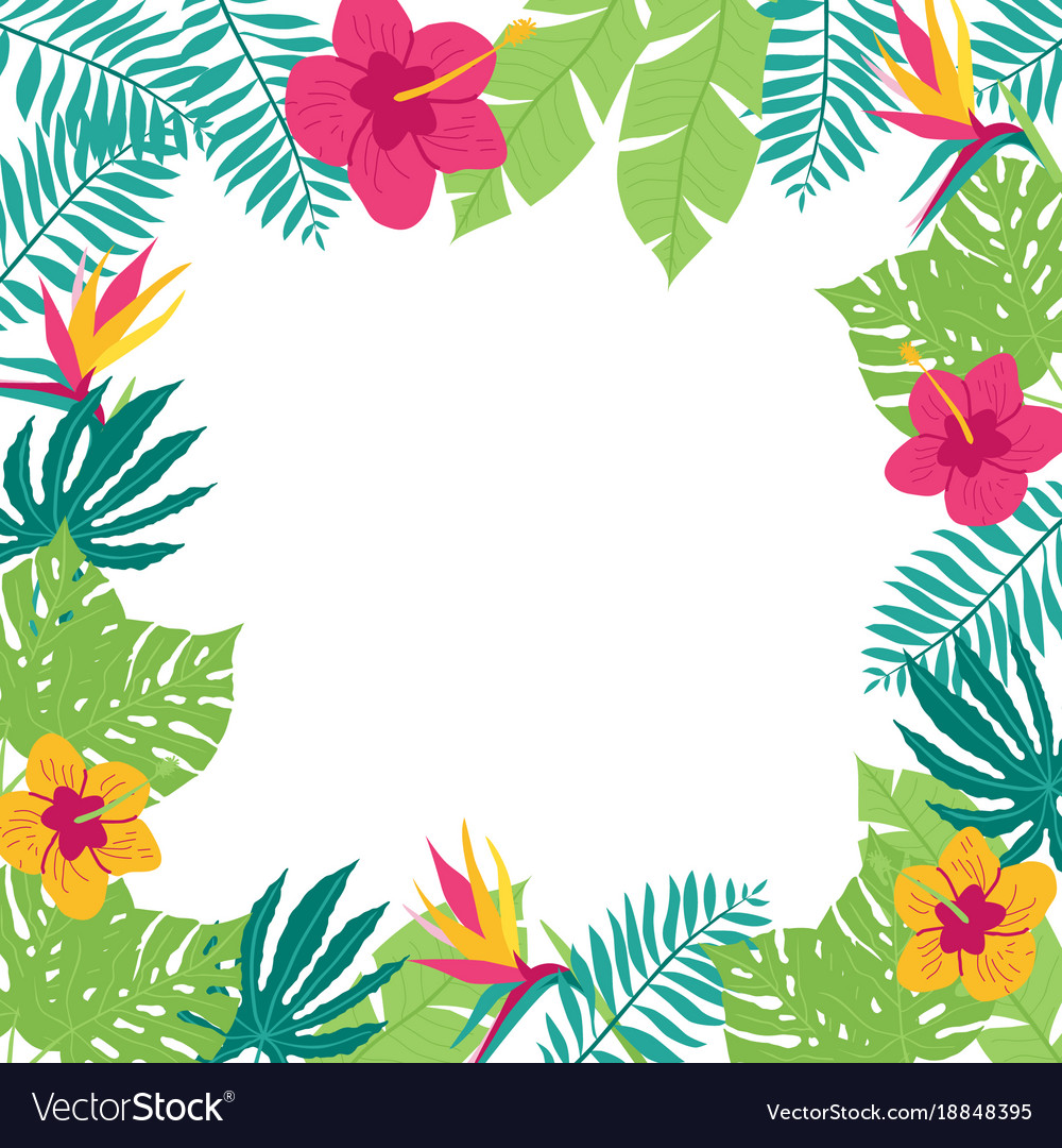 Hand drawn tropic frame Royalty Free Vector Image