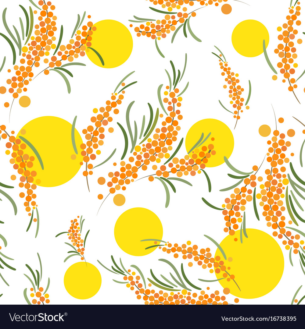 Seabuckthorn seamless pattern abstract